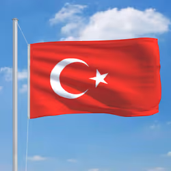 vidaXL Turkey Flag Durable Garden Windsock With Brass Grommets National Flag