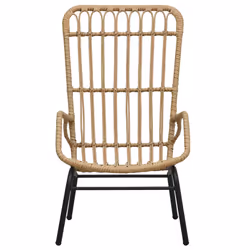 VidaXL 48580 outdoor chair Terrace Padded seat Polyrattan, Steel