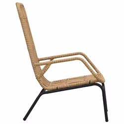 VidaXL 48580 outdoor chair Terrace Padded seat Polyrattan, Steel