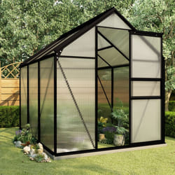 vidaXL Anthracite Aluminium Greenhouse