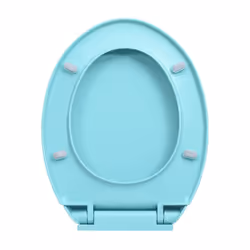 VidaXL 145824 toilet seat Hard toilet seat Polypropylene (PP) Light Green - Additional view 5