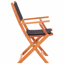 VidaXL 48692 outdoor chair Terrace Padded seat Eucalyptus Black - Additional view 4