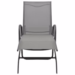 VidaXL 47845 outdoor chair Lounge Padded seat Steel, Textile Grey