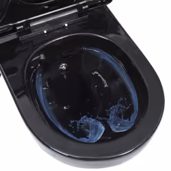 vidaXL Wall Hung Rimless Toilet with Bidet Function Ceramic Black Suspended - Additional view 5