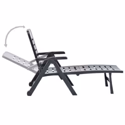 VidaXL 48756 outdoor chair Lounge Padded seat Plastic Anthracite - Additional view 5