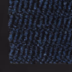 vidaXL 2x Dust Control Mats Rectangular Tufted 40x60cm Blue Front Door Rug