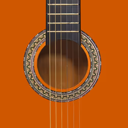 vidaXL Classical Guitar Beginner Set 12 Piece 4/4 39" Starter Music Instrument - Additional view 9