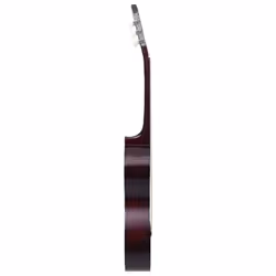 vidaXL Classical Guitar for Beginner and Kid 3/4 36" Basswood Music Instrument