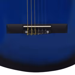 vidaXL Western Guitar Set 12 Piece with Equalizer and 6 Strings for Beginner - blue - Additional view 9