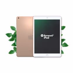 Renewd iPad 7 WiFi Gold 32GB, 25.9 cm (10.2"), 2160 x 1620 pixels, 32 GB, iPadOS, 483 g, Gold
