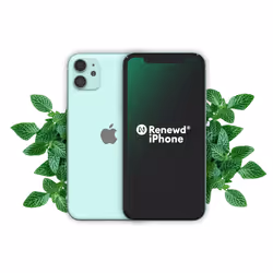 Renewd iPhone 11 Green 64GB, 15.5 cm (6.1"), 1792 x 828 pixels, 64 GB, 12 MP, iOS 13, Green