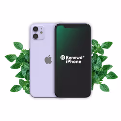 Renewd iPhone 11 Purple 256GB, 15.5 cm (6.1"), 1792 x 828 pixels, 256 GB, 12 MP, iOS 13, Purple