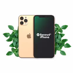 Renewd iPhone 11 Pro Gold 64GB, 14.7 cm (5.8"), 2436 x 1125 pixels, 64 GB, 12 MP, iOS 13, Gold