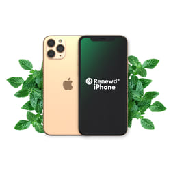 Renewd iPhone 11 Pro Max Gold 64GB