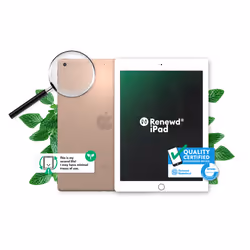Renewd iPad 6 WiFi + 4G Gold 32GB