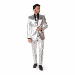 ) Mr. Shiny Silver Men's Costume Opposuits - M (EU 50