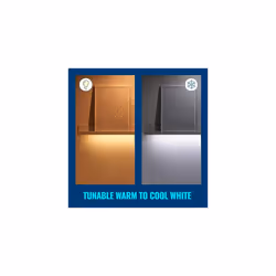 WiZ Colour 4M Light Strip [UK Plug] Smart Connected LED Lighting. for Home, Bedroom Livingroom and Diningroom.