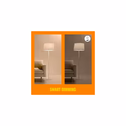 WiZ Colour 4M Light Strip [UK Plug] Smart Connected LED Lighting. for Home, Bedroom Livingroom and Diningroom.