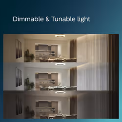 Philips Amigo Fan Ceiling Light 60+25 W - Additional view 5