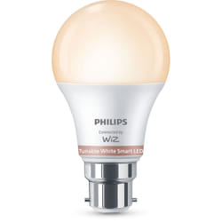 Philips Bulb 60W A60 B22