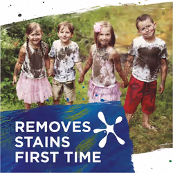 Persil Bio Stain Removal First Time Fabric Cleaning Washing Powder 34 Percent Less Packaging* 21 Wash 1.05 kg (Pack of 4)