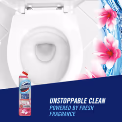 Power Fresh Floral Fresh Toilet Gel eliminates 99.99% of germs* limescale remover 6x 750 ml