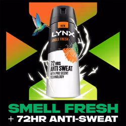 Lynx Jungle Fresh Antiperspirant Spray 72H Protection Deo 200ml 6Pk