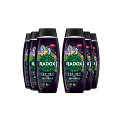 6x Radox Mineral Therapy Feel Recovered 2in1 Shower Gel & Shampoo for Men, 450ml