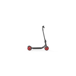 Ninebot by Segway Zing С20 Black, Red 16 km/h 5 Ah