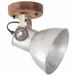 vidaXL 2x Industrial Wall/Ceiling Lamps Silver E27 Bedside Light Living Room