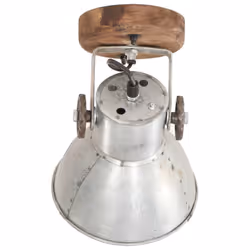 vidaXL 2x Industrial Wall/Ceiling Lamps Silver E27 Bedside Light Living Room - Additional view 5