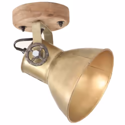 vidaXL 2x Industrial Wall/Ceiling Lamps Brass E27 Bedside Light Living Room