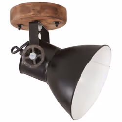 vidaXL Industrial Wall/Ceiling Lamps 2 pcs Black 20x25 cm E27 - Additional view 3