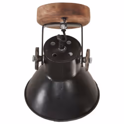 vidaXL Industrial Wall/Ceiling Lamps 2 pcs Black 20x25 cm E27 - Additional view 5