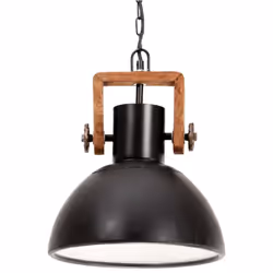 vidaXL Industrial Hanging Lamp 25 W Round E27 Light Multi Colours Multi Sizes - black, 30 cm