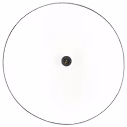 vidaXL Industrial Hanging Lamp 25 W Black Round 42 cm E27 Ceiling Light - Additional view 4