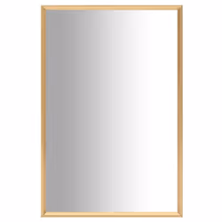vidaXL Mirror Gold 60x40 cm Bedroom Dressing Room Mirror Indoor Furniture