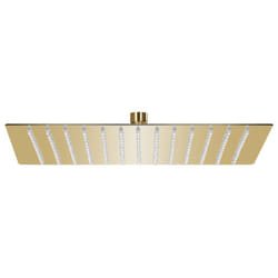 vidaXL Rain Shower Head Stainless Steel 25x25 cm Square Gold Rainfall Overhead
