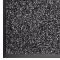 vidaXL Doormat Washable Anthracite Home Garden Entrance Rug for Front Door