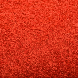 vidaXL Doormat Washable Red Home Garden Barrier Entrance Rug for Front Door