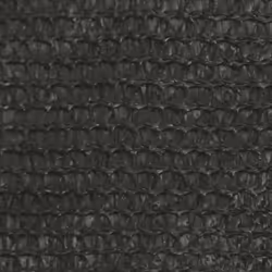 vidaXL Sunshade Sail 160 g/mÂ² Anthracite 3x4x5 m HDPE Outdoor Patio Sunscreen