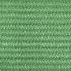 vidaXL Sunshade Sail 160 g/mÂ² Light Green 5x6x6 m HDPE Patio  Sunscreen Canopy
