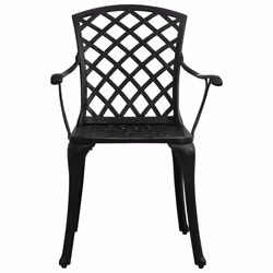 VidaXL 315573 outdoor chair Terrace Cast aluminium Black