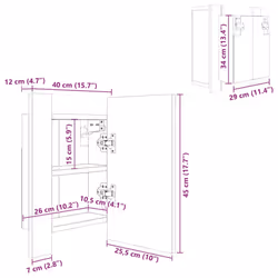 vidaXL LED Bathroom Mirror Cabinet Black 40x12x45 cm Acrylic Washroom Mirror