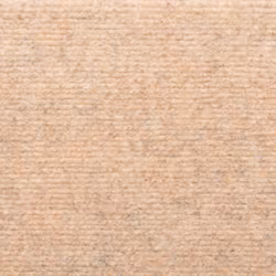 vidaXL Stair Mats Carpet Stair Tread Stair Step Rug 5 pcs Brown Needle Punch