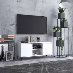 VidaXL 805968 TV cabinet/entertainment centre