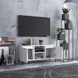 VidaXL 805968 TV cabinet/entertainment centre
