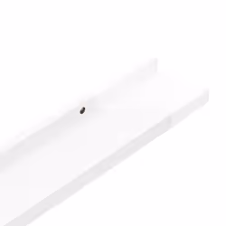 vidaXL 4x Wall Shelves High Gloss White 100x9x3 cm Hanging Display Racks Home - Additional view 6
