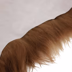 vidaXL Icelandic Sheepskin Chair Cover Brown Floor Carpet Chair Cover Cushion - Additional view 3