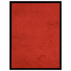 vidaXL Doormat Red Home Decorative Barrier Welcome Front Door Mat Area Rug